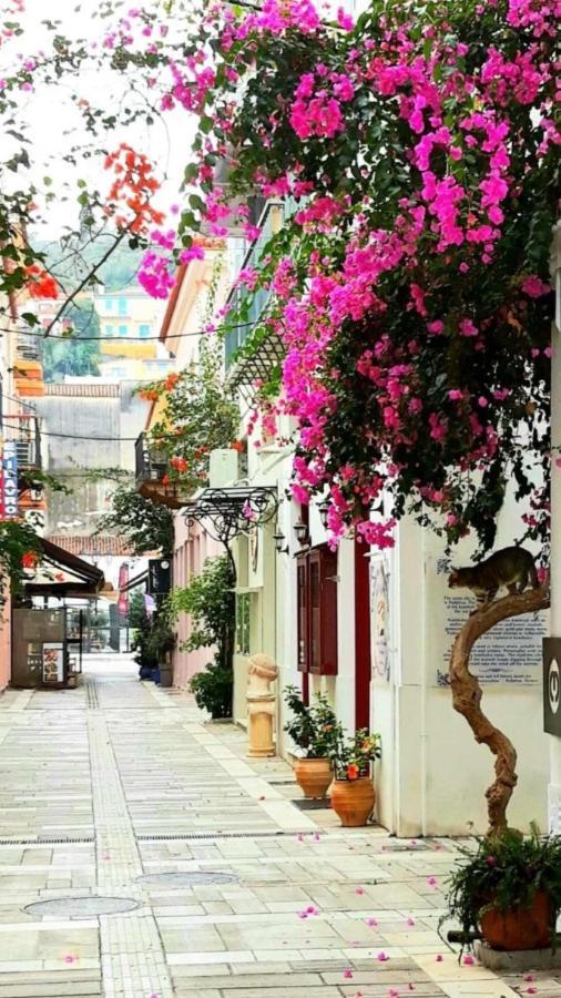 Apartmán Αυλή Nafplio Exteriér fotografie